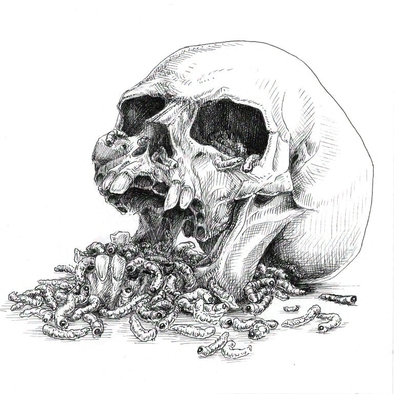 a skull full of worms