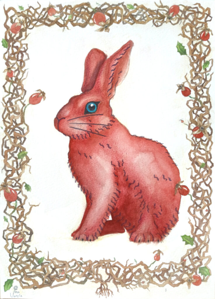 watercolor nature illustration - red rabbit and dog rose